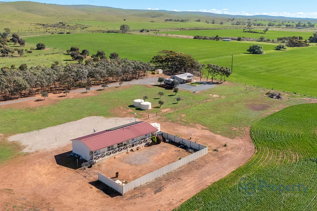 1502 Pine Hut Road, Sedan, SA 5353
