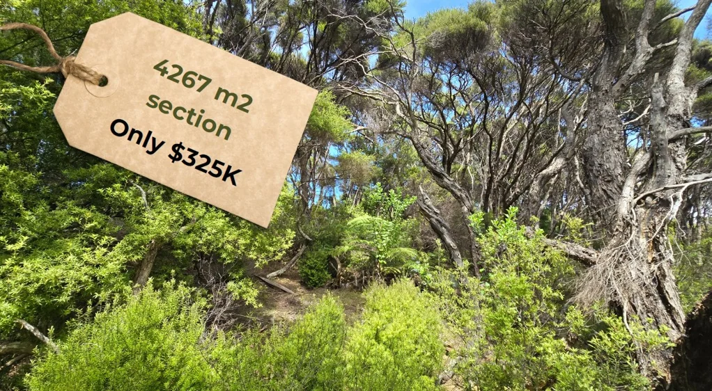 Kawau Island 4267m2 Island Section- Only $325K!
