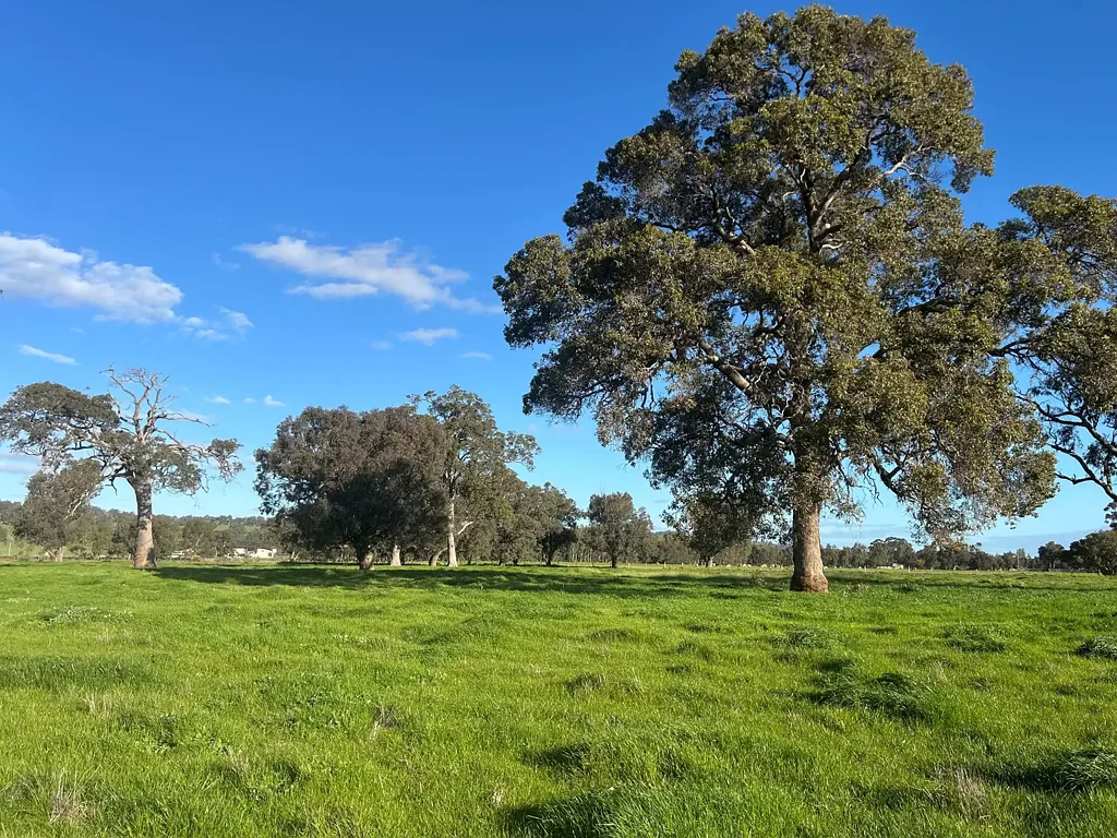 Wokalup Scenic 14.23* Hectare Lifestyle Opportunity with Darling Scarp Views