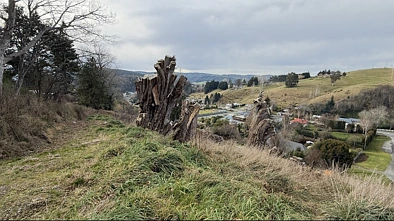5-7 Rea Street, Lawrence, Clutha, Otago, 0 Bedrooms, 0 Bathrooms, Section