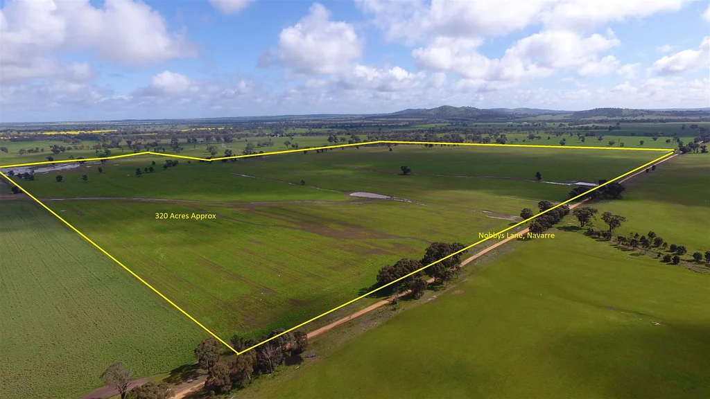 Stawell  Cropping & Grazing Property