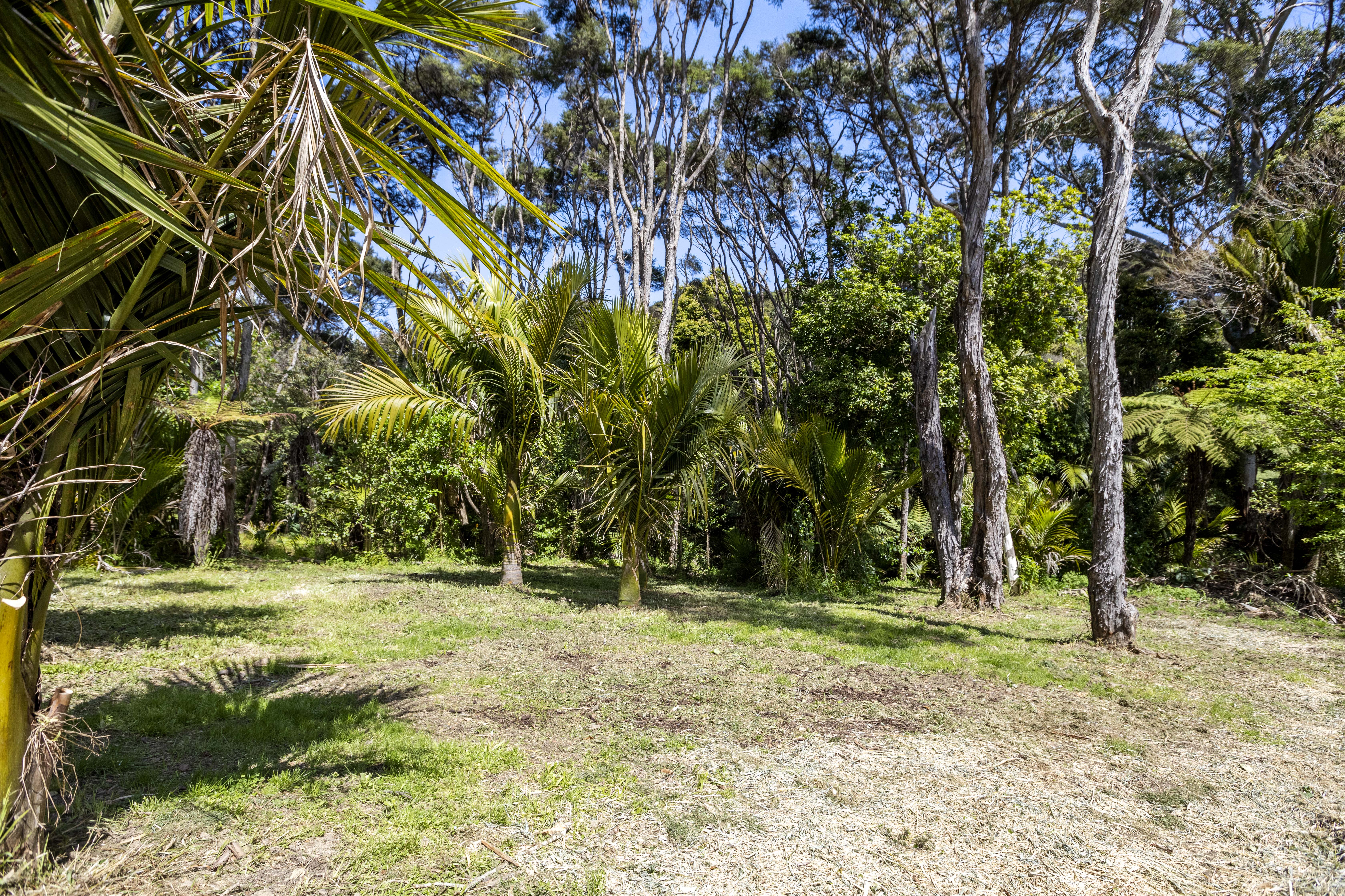 48 Te Toki Road, Ostend, Auckland, 0 Kuwarto, 0 Banyo, Section