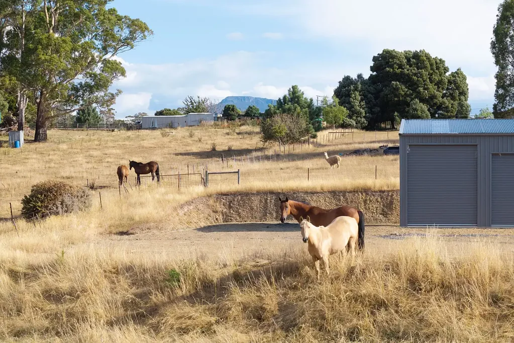 Deloraine The Hard Work's Done - Huge New Shed on a Private Acreage!