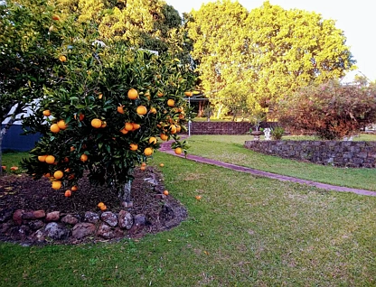 Address Withheld, Goonellabah, NSW 2480, 4 Kuwarto, 2 Banyo, House