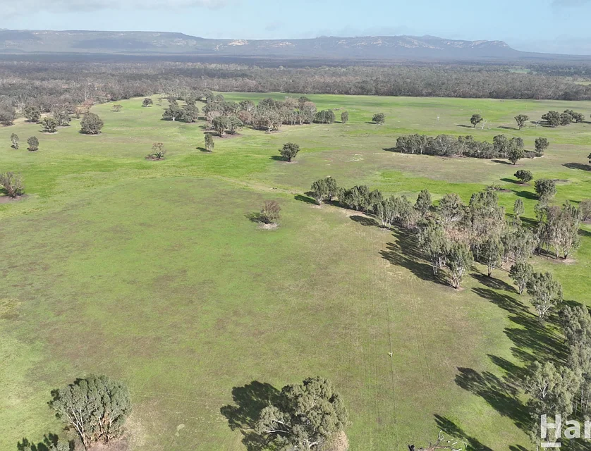 6080 Western Highway, Dadswells Bridge, Horsham, 0部屋, 0バスルーム, Lifestyle Property