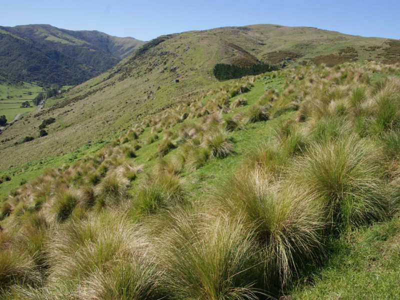 160 Birdlings Road, Little River, Christchurch, 0 રૂમ, 0 બાથરૂમ