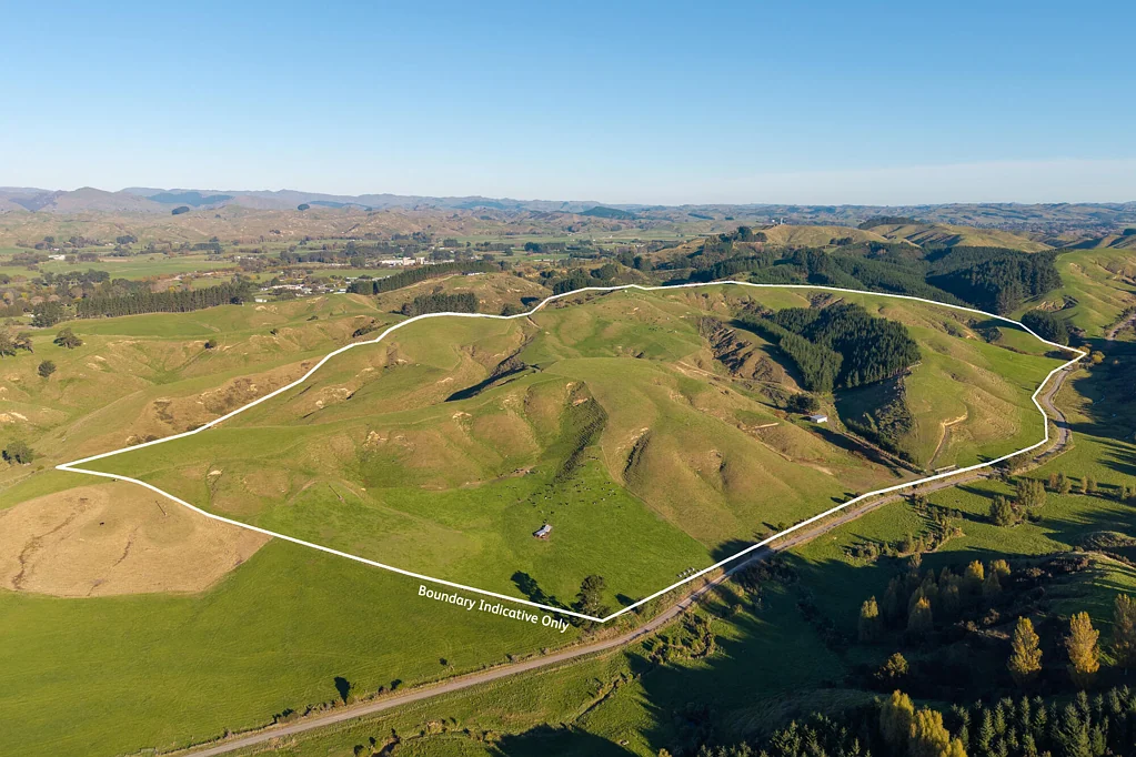 Pahiatua Ridge Road North - 50 ha