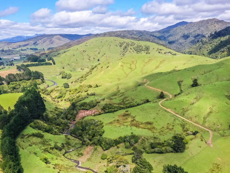 1091 Kopikopiko Road, Eketahuna, Tararua, 0 rūma, 0 rūma horoi