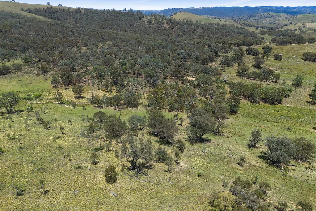 2238 Triamble Road, Mudgee, NSW 2850