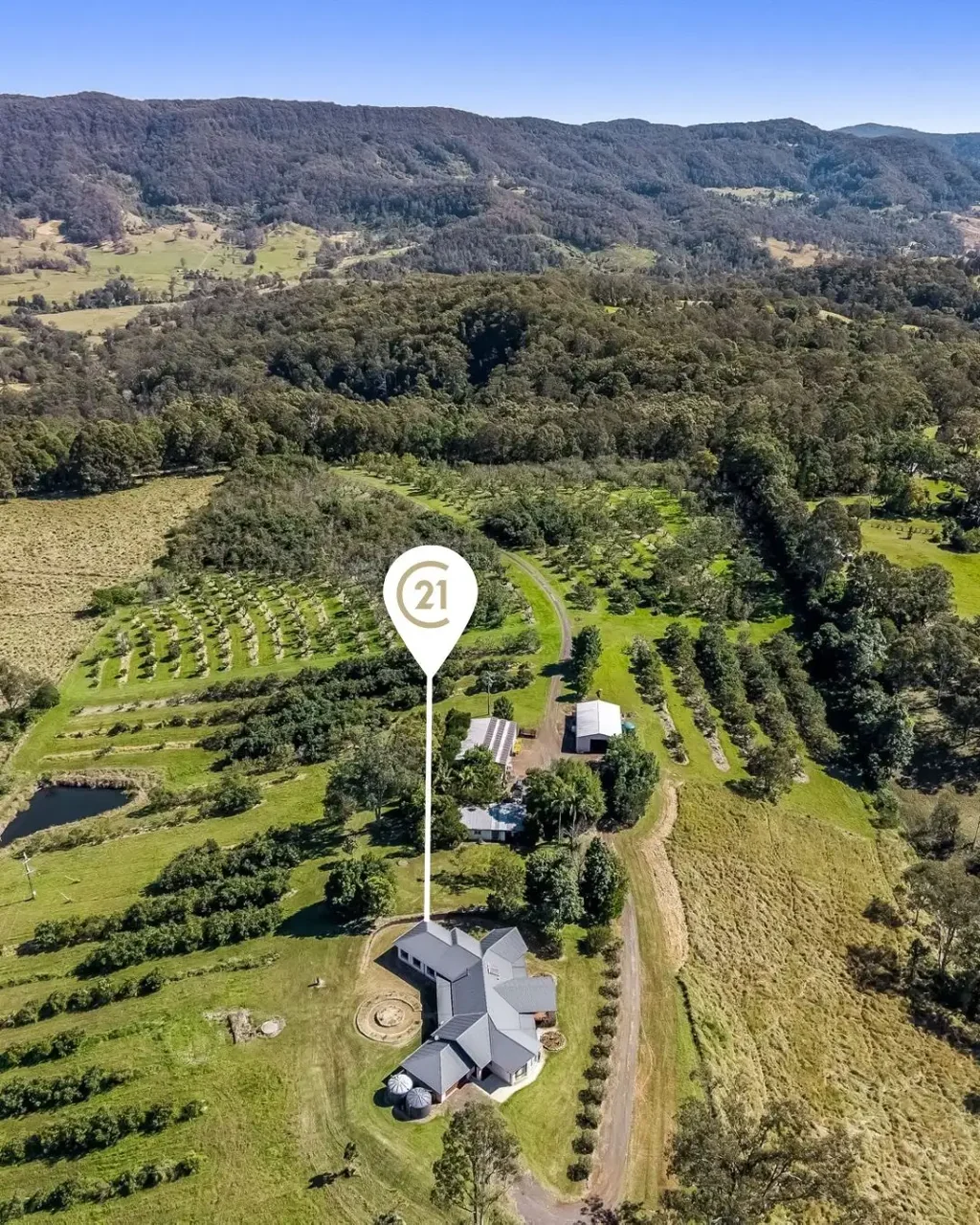 Georgica Productive Avocado Orchard and Executive Residence plus 2nd Home