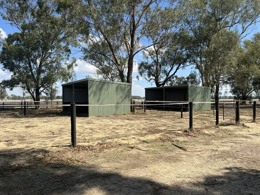 Berrigan  LIFESTYLE FOR HORSES IN TRANQUIL SETTING