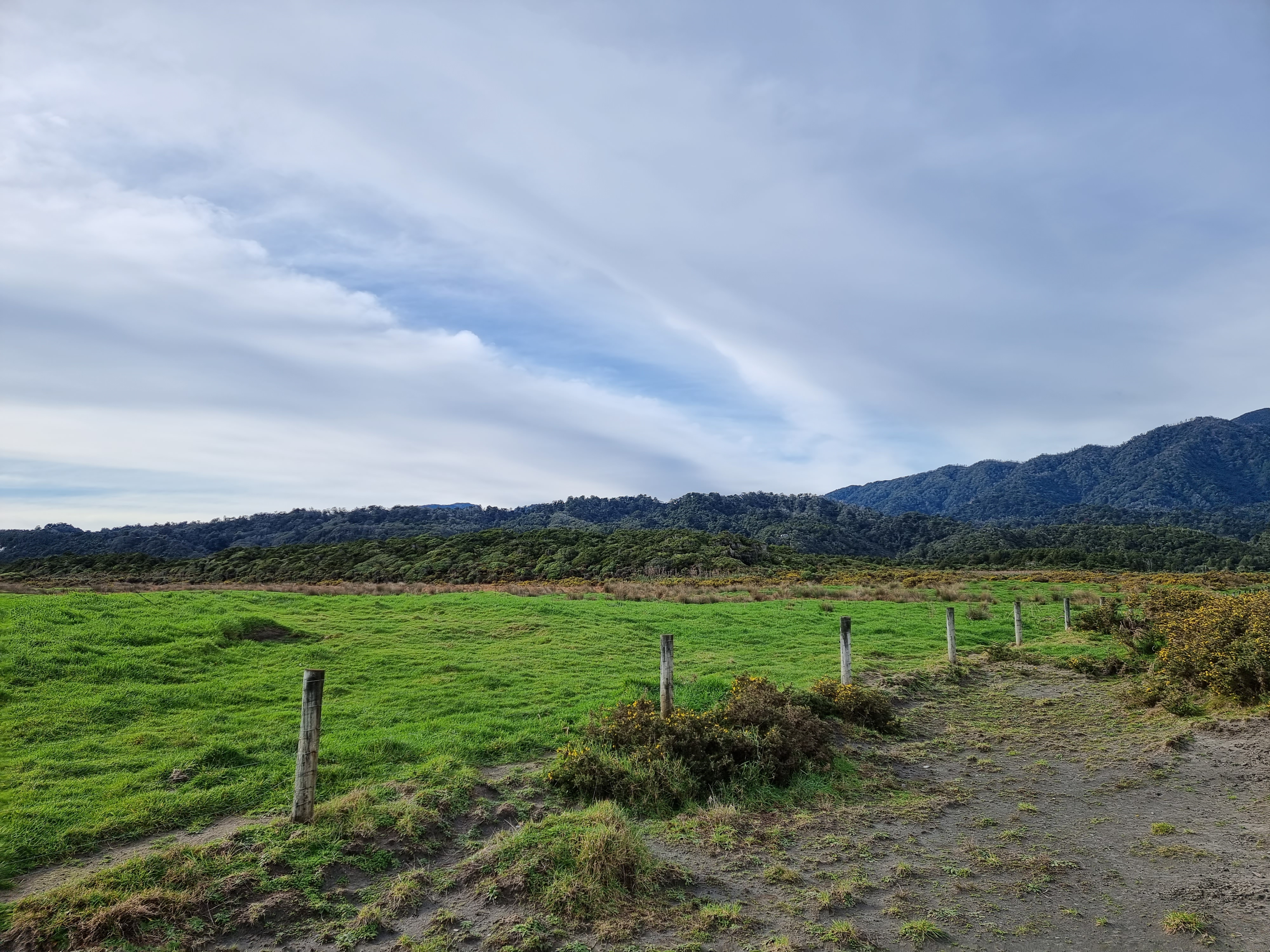 Burke Road, Makarau, Auckland - Rodney, 0 غرف, 0 حمامات, Grazing