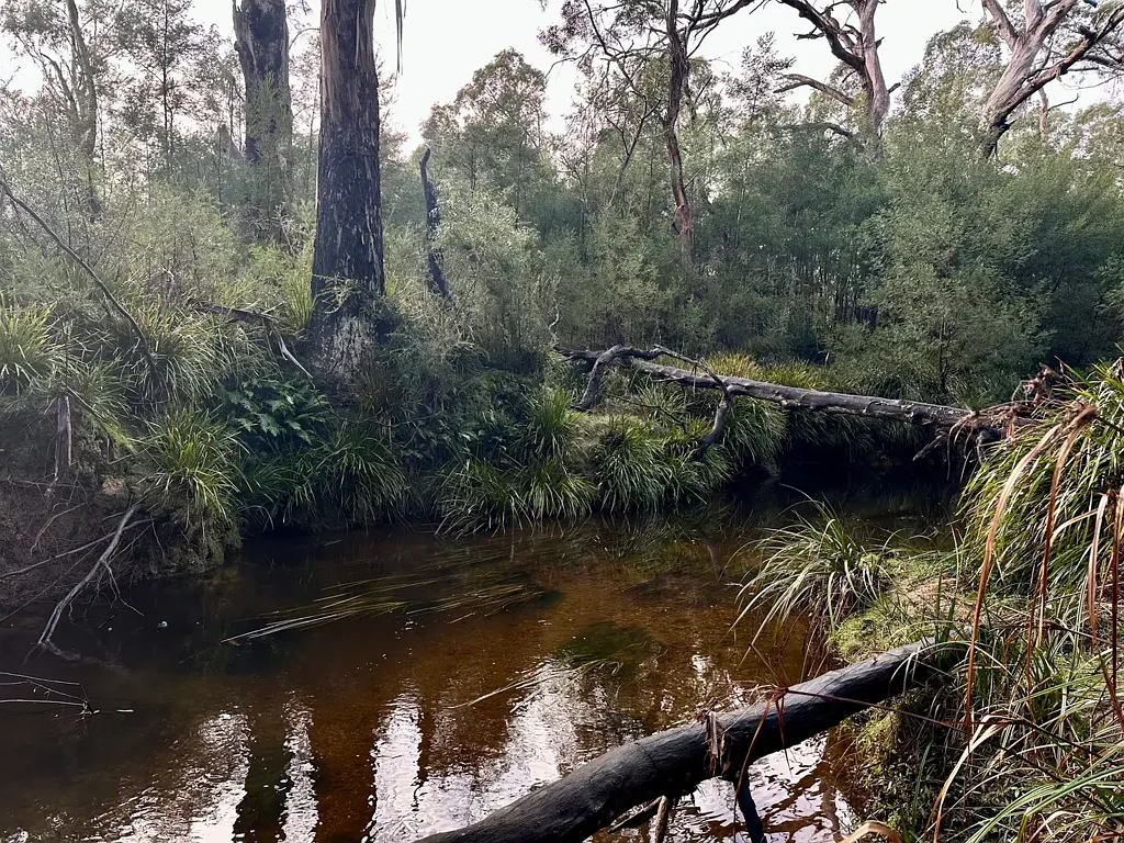 Braidwood  Rural Bush Blocks with Building Entitlements - Your escape to nature!