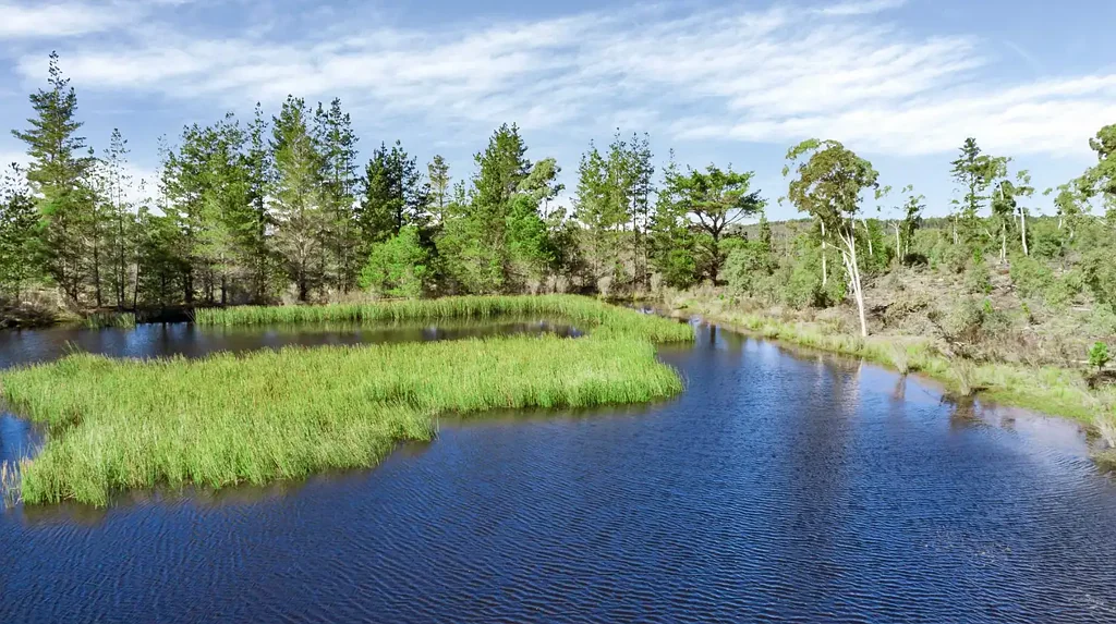 Braidwood Nature, Adventure & Off-grid living - 800 Acres near Braidwood