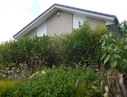 31E Helenvale Crescent, Pokeno, Franklin, 4 phòng ngủ, 2 phòng tắm, House