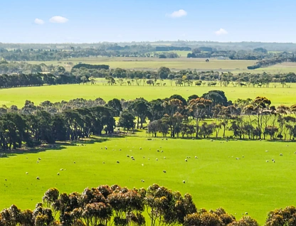 680 Ghazeepore Road, Freshwater Creek, Geelong, 0 phòng ngủ, 0 phòng tắm, Lifestyle Property