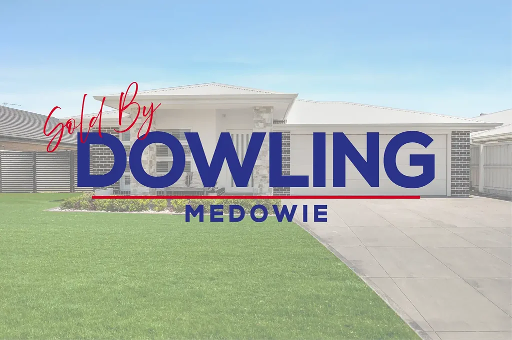 20 Topaz Avenue, Medowie, NSW 2318