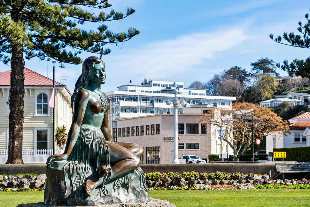Napier South 5房  Heart of Napier - Extended Family - Income