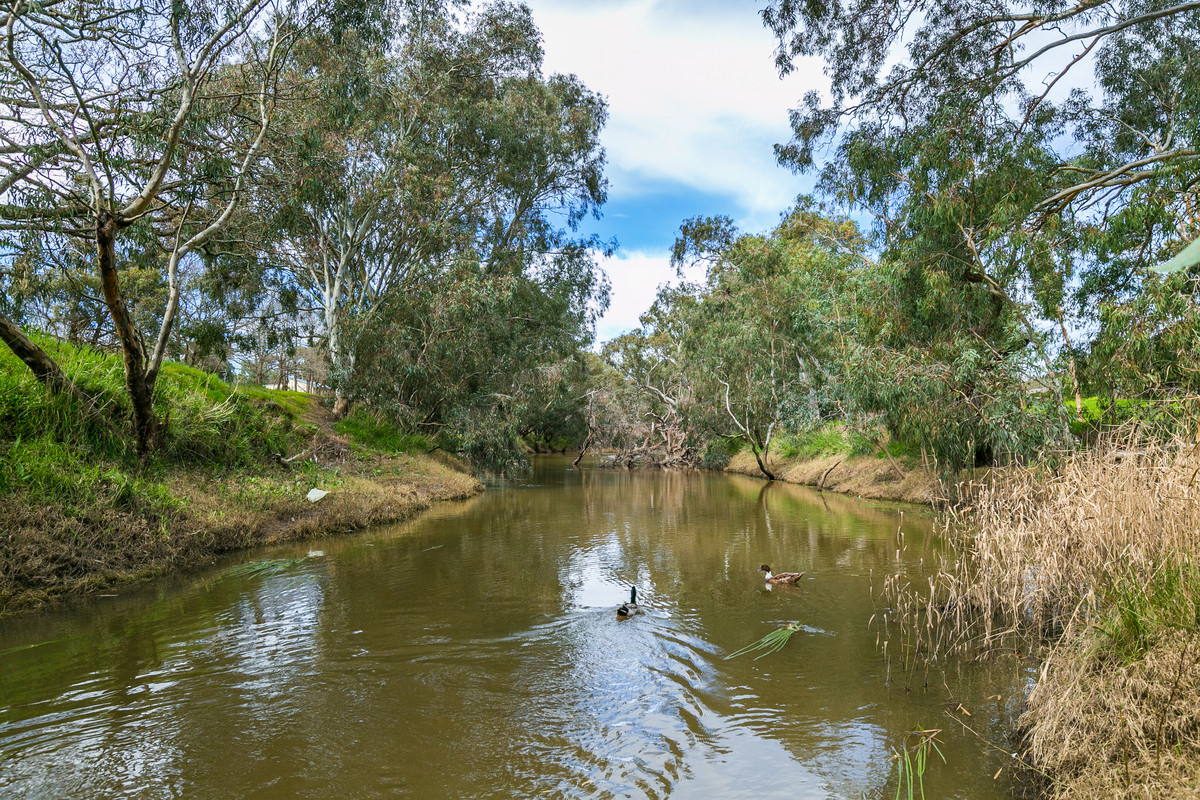 38 ARMYTAGE ST, WINCHELSEA VIC 3241, 0 Schlafzimmer, 0 Badezimmer, House