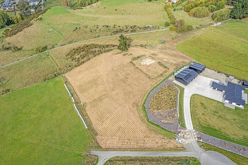 Weston  Pure Potential in Weston