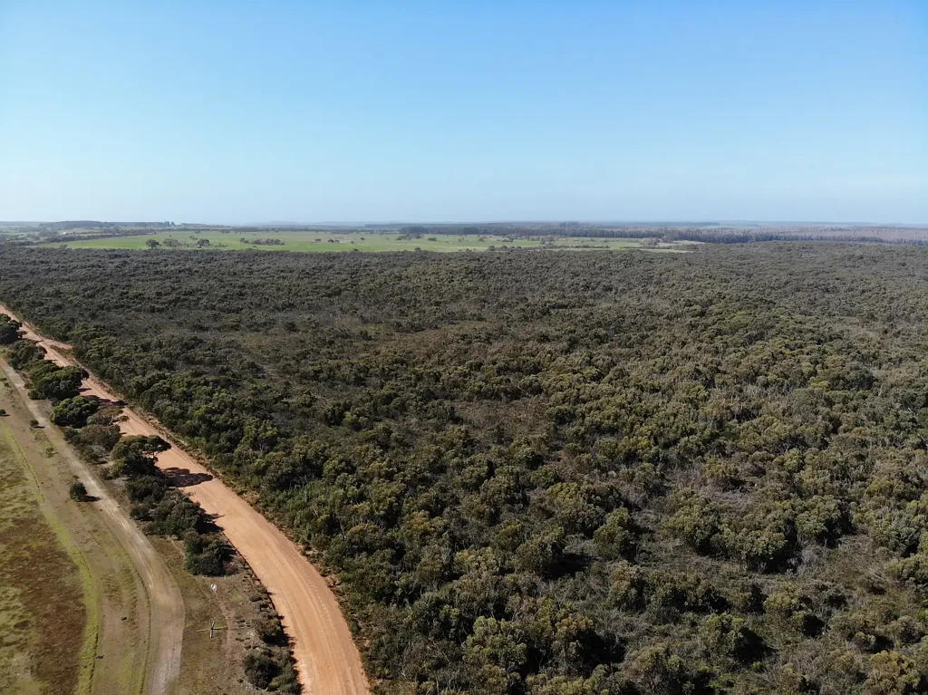 Western River  Rural Escape - Nature Enthusiast's Dream!