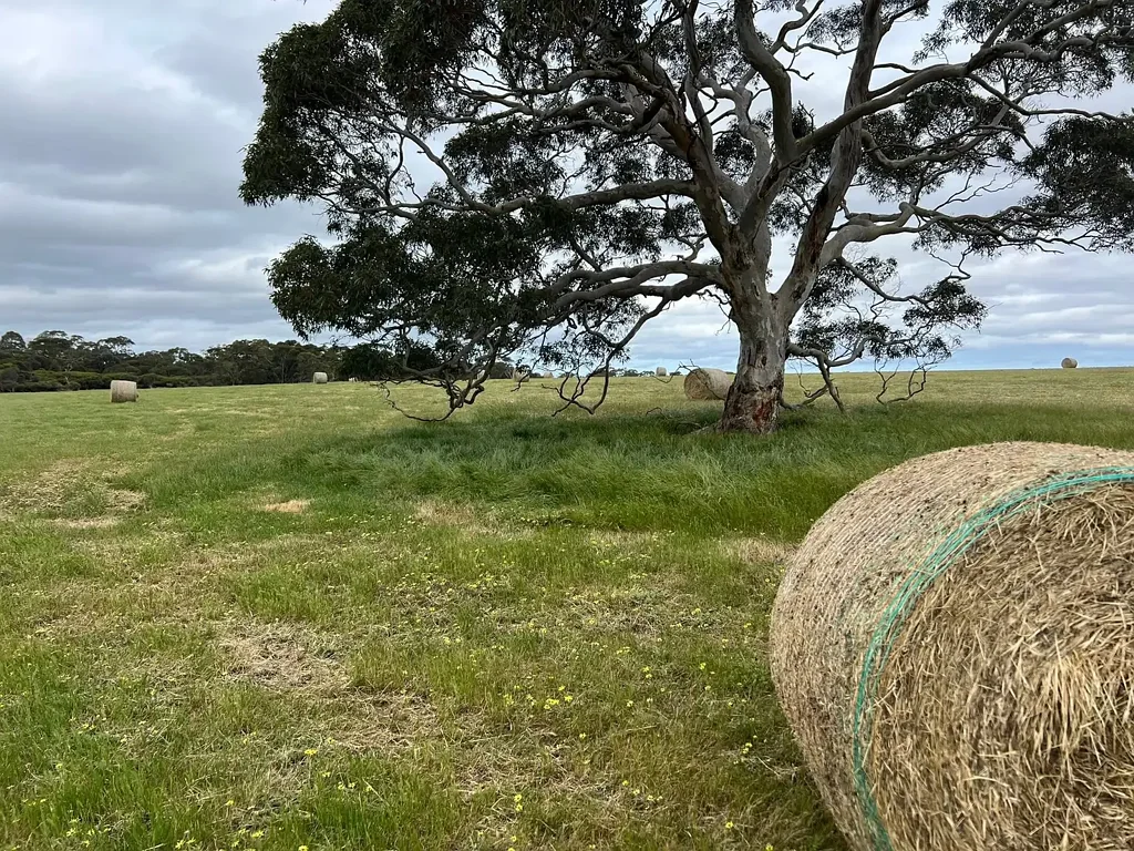 Seddon Lifestyle & Agricultural  - Entry level Price with instant Opportunity. Hay, Crop, Livestock. *Vendor Finance Available*