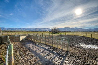 1 Racecourse Road, Omakau, Central Otago, Central Otago / Lakes District, 0 રૂમ, 0 બાથરૂમ, Dairy