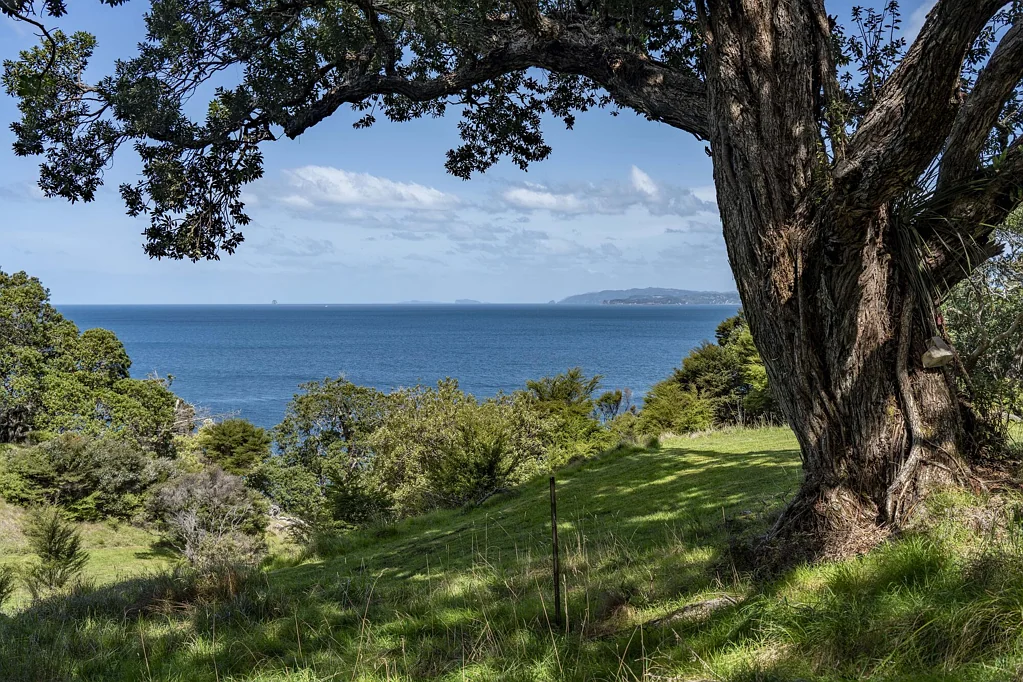 Opito Bay Eco Paradise - secluded coastal living