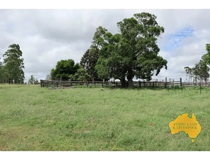 1377 Dangore Mountain Road, Dangore, Wide Bay, 4 ਕਮਰੇ, 1 ਬਾਥਰੂਮ, Lifestyle Property