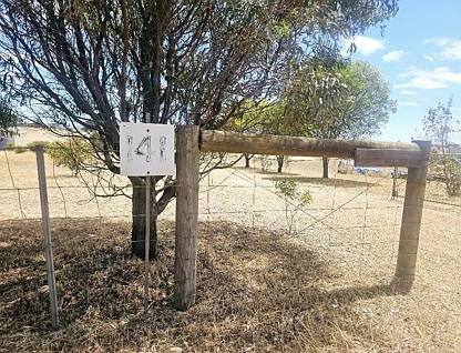 141 McDonald Road, Woodanilling, Wheat Belt, 2房, 1浴, Section
