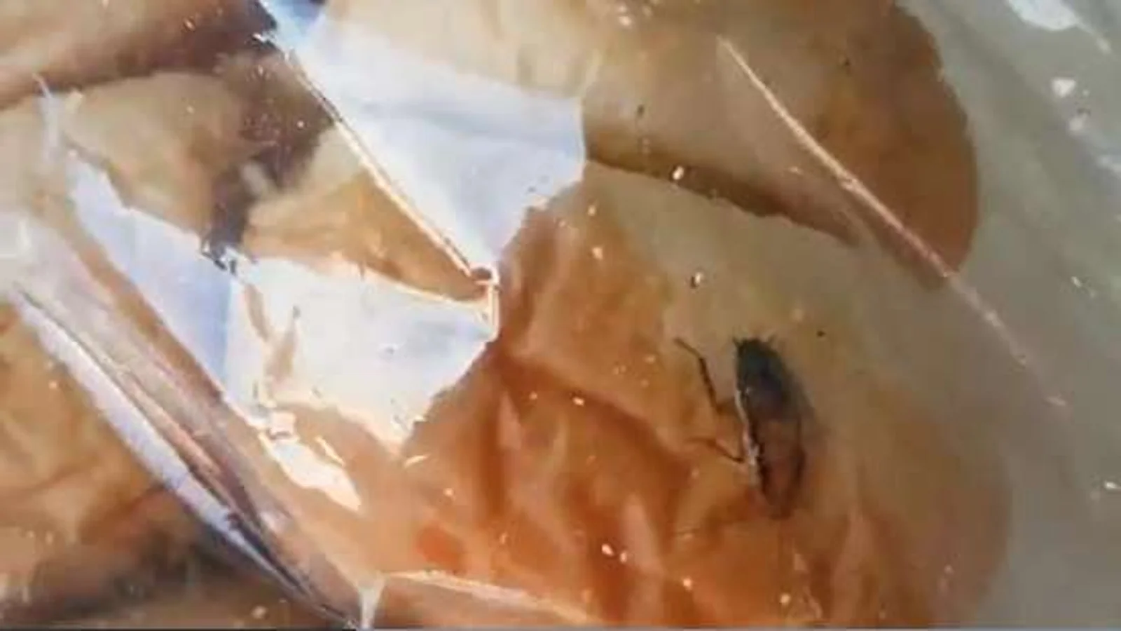 太恶心了！面包里面有活蟑螂，就在奥克兰这家知名超市！