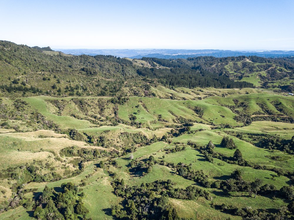 Kaitieke Road, Owhango, Ruapehu, 0房, 1浴, Grazing