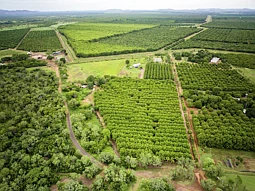 Lot 528 River Farm Road, Kununurra