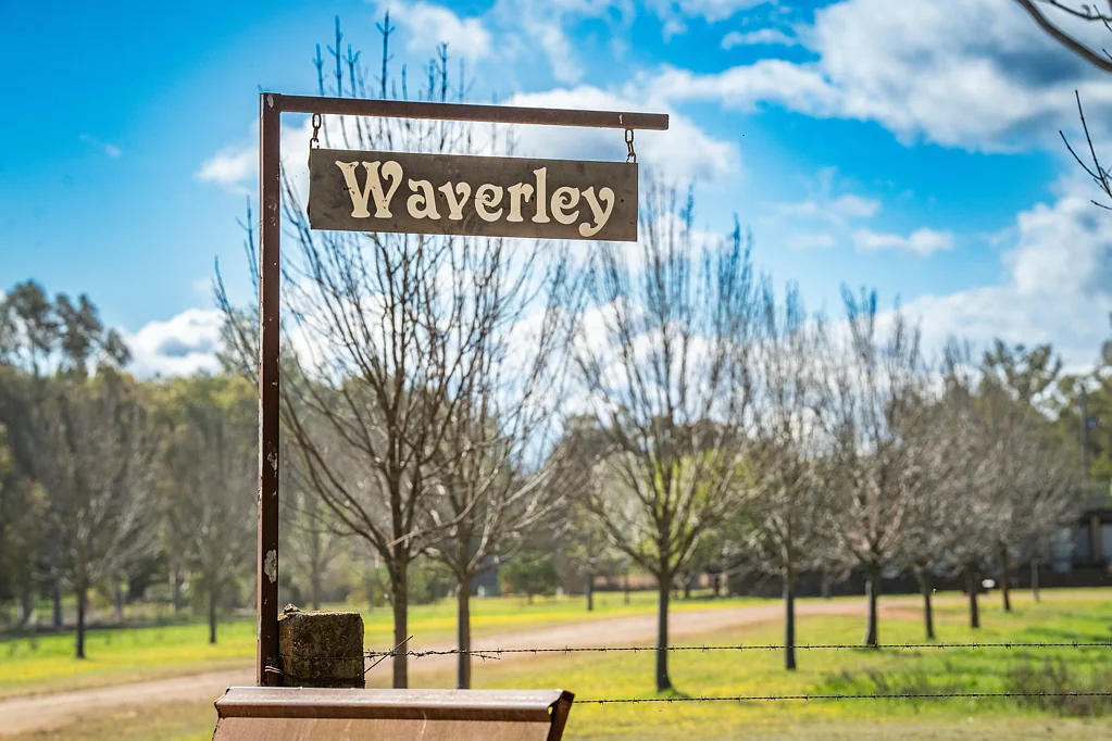 Pleasant Hills Waverley steeped in History & Success