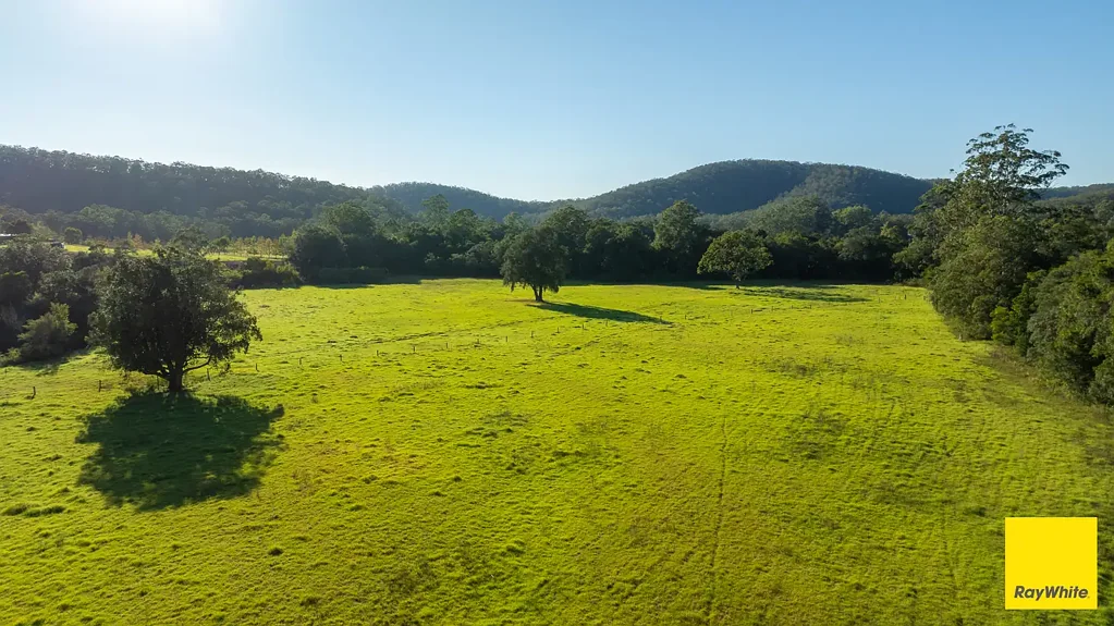 Crawford River River Flats with a View