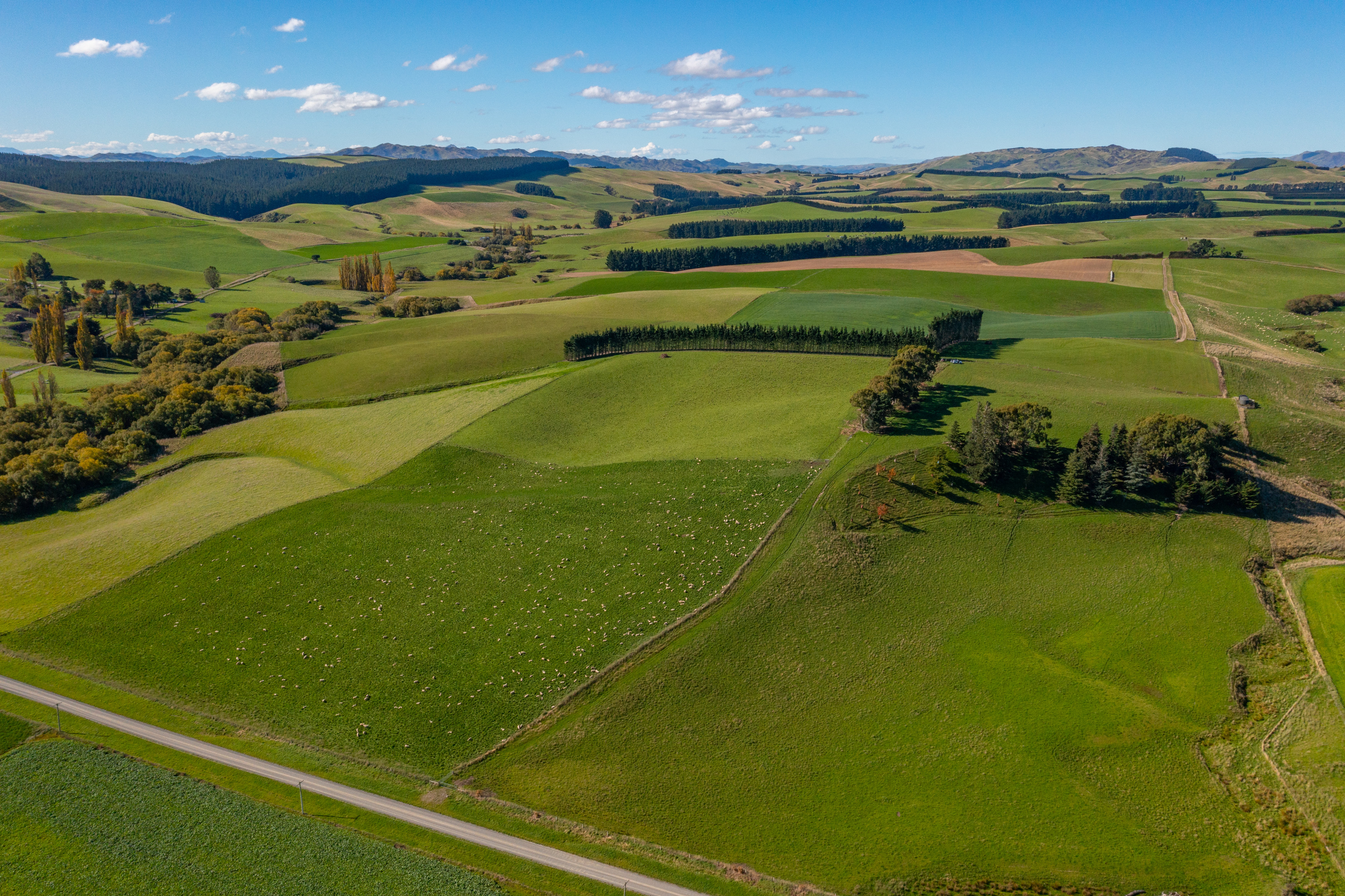 Omihi Road, Waipara