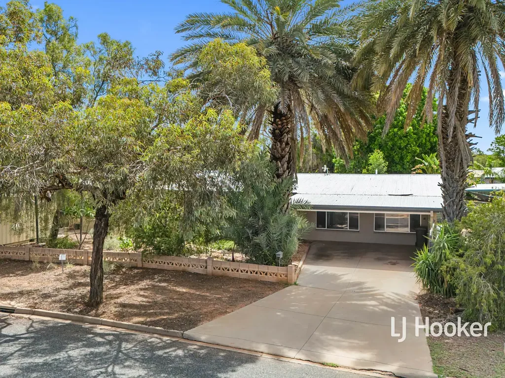 22 Johannsen Street, Gillen, NT 870
