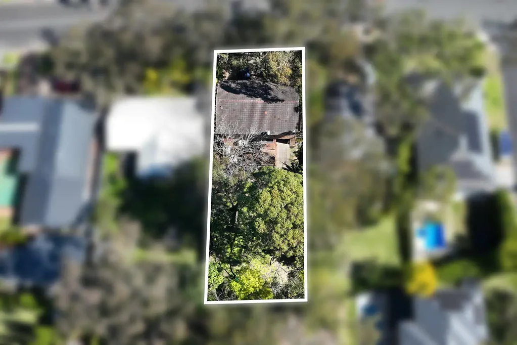 Berowra Heights 3कमरा Bush retreat brimming with space and potential
