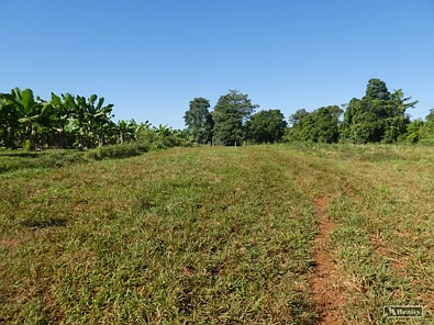 地址保密, Utchee Creek, QLD 4871, 3房, 1浴, Lifestyle Property
