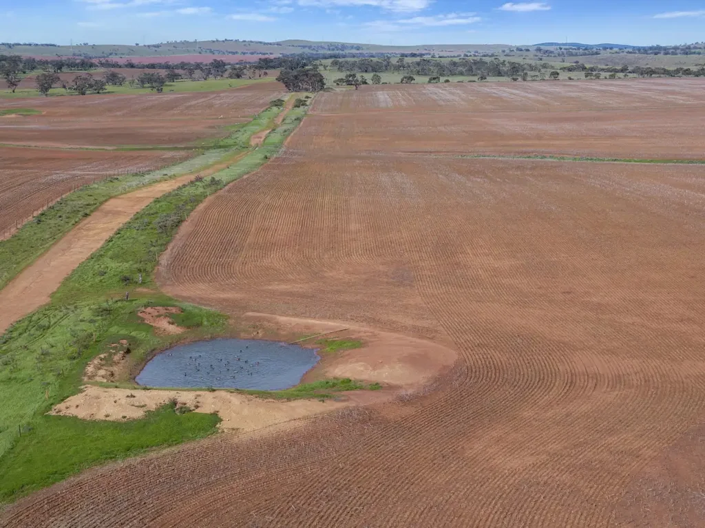 Frankton Quality Cropping Land | Expand or Establish