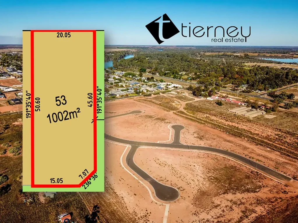 163 Summer Drive, Gol Gol, NSW 2738