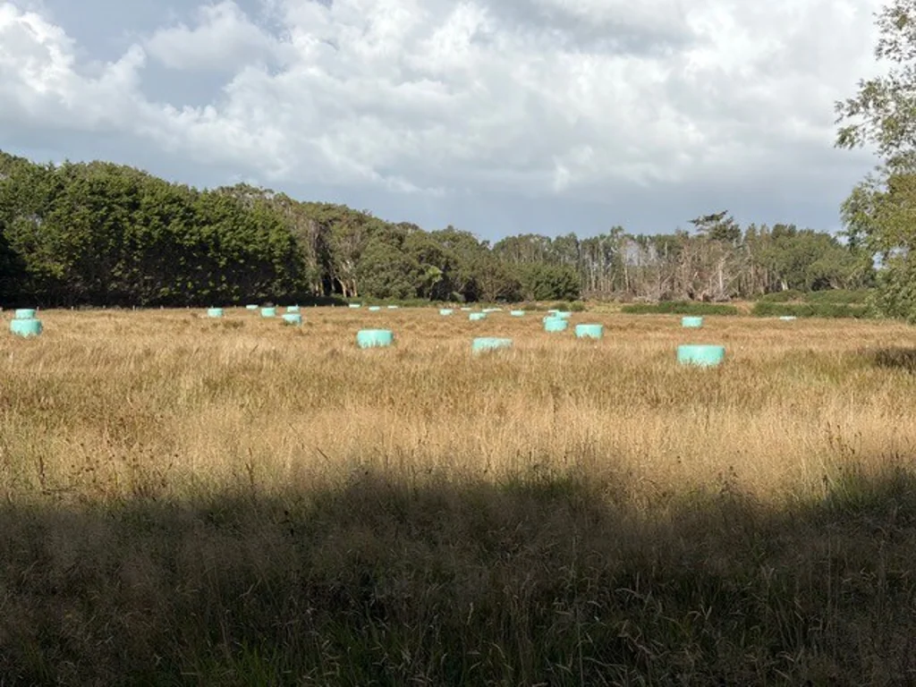 Otatara  The opportunity just got better