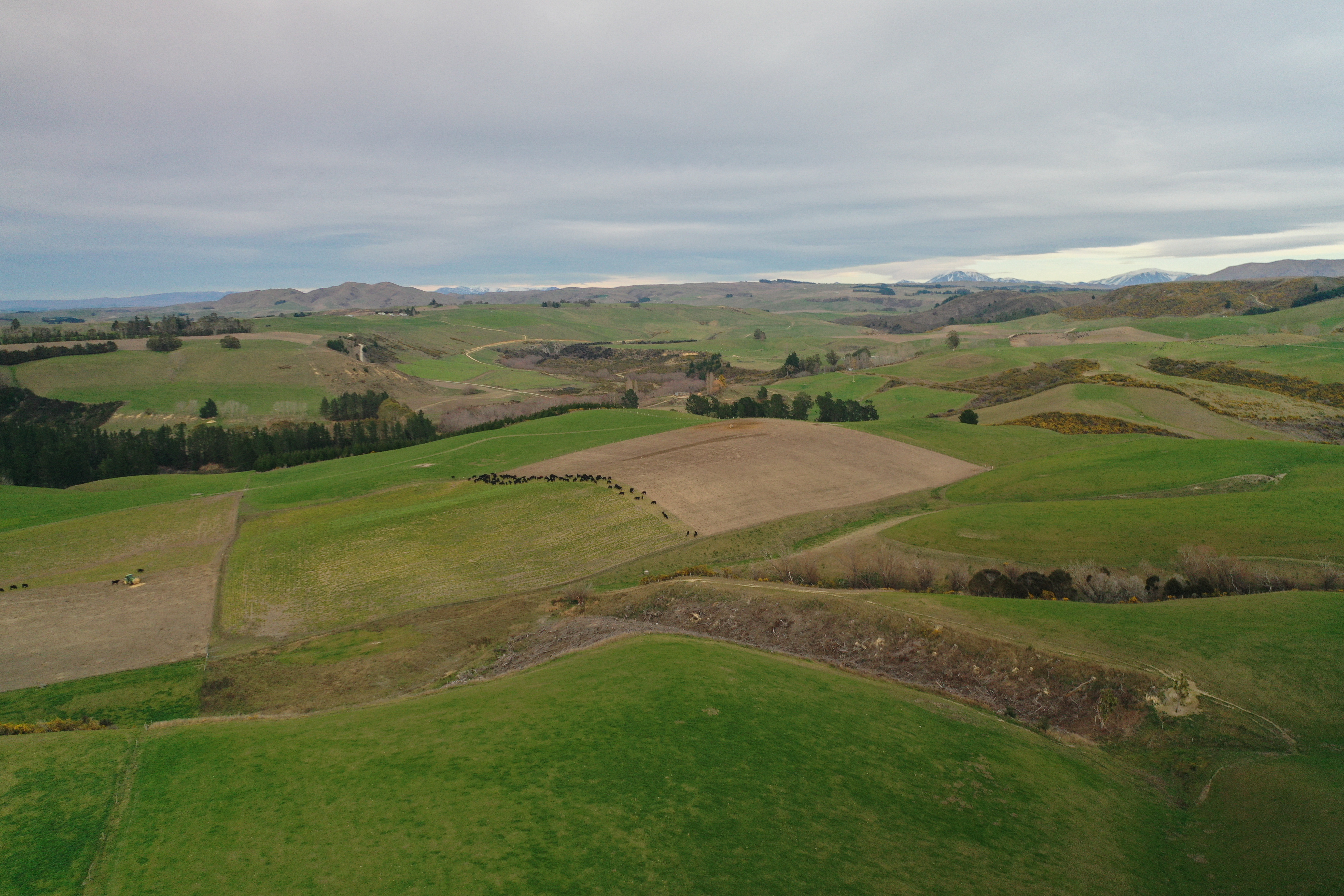 158 Kowhatu Road, Waihaorunga, Waimate, 0部屋, 0バスルーム, Dairy