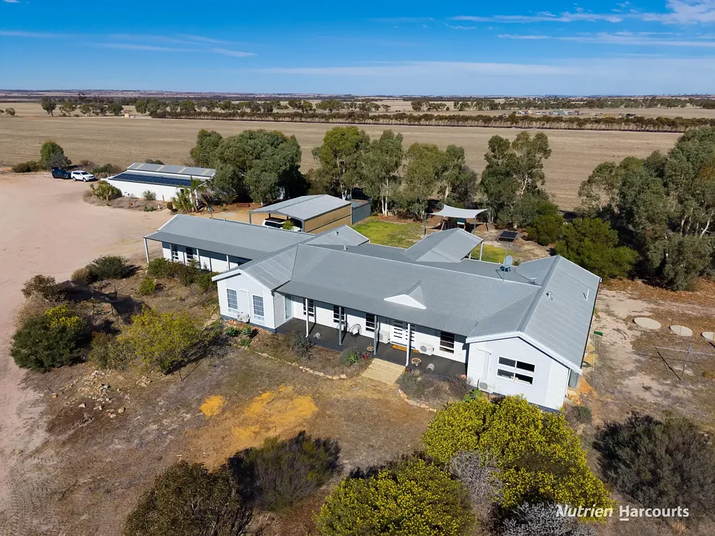 Kellerberrin 6房  GRAND WHEATBELT LIFESTYLE PROPERTY - STUNNING MODERN FAMILY HOME ON NEARLY 100 ACRES OF PRODUCTIVE WHEATBELT SOILS