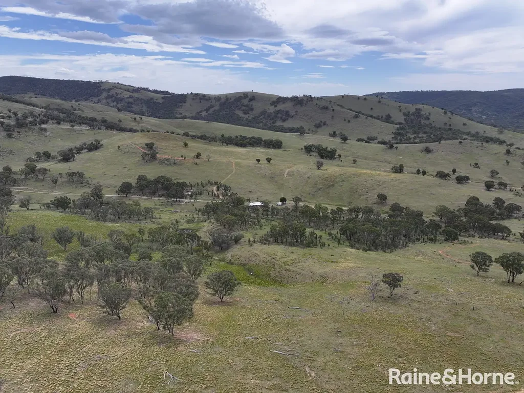 Tambaroora EXPANSIVE RURAL LAND WITH CREEK FRONTAGE