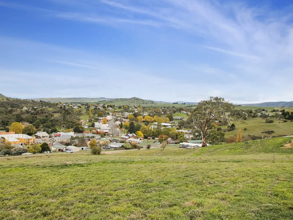 Omeo BUILD WITH VIEWS