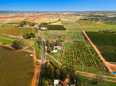239 Pumps Road, Red Cliffs, VIC 3496, 0房, 0浴, Lifestyle Property