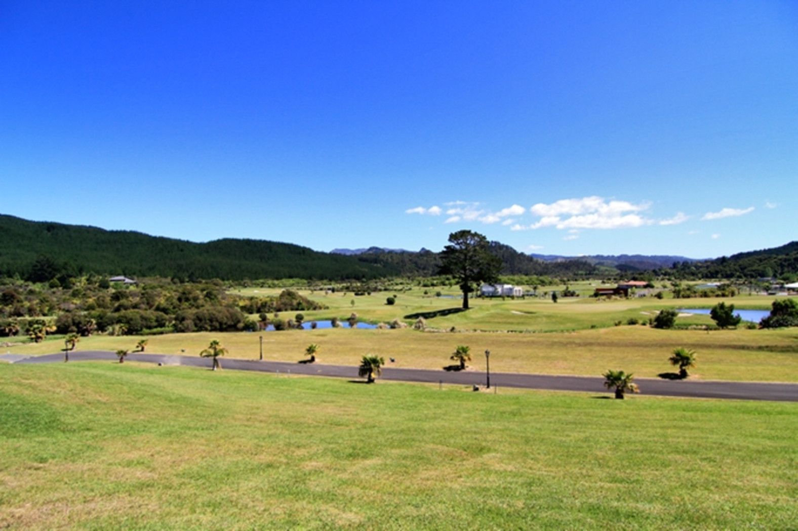 67 Pinehurst Drive, Pauanui, Coromandel, 0 Schlafzimmer, 0 Badezimmer