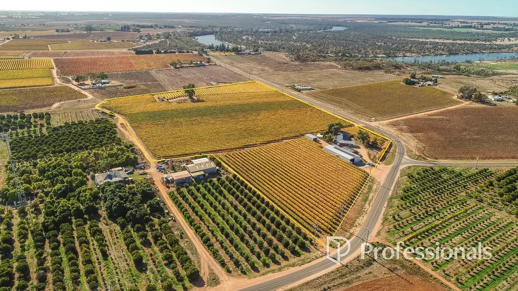 Red Cliffs  17 Acre Table Grape Vineyard with Family Home