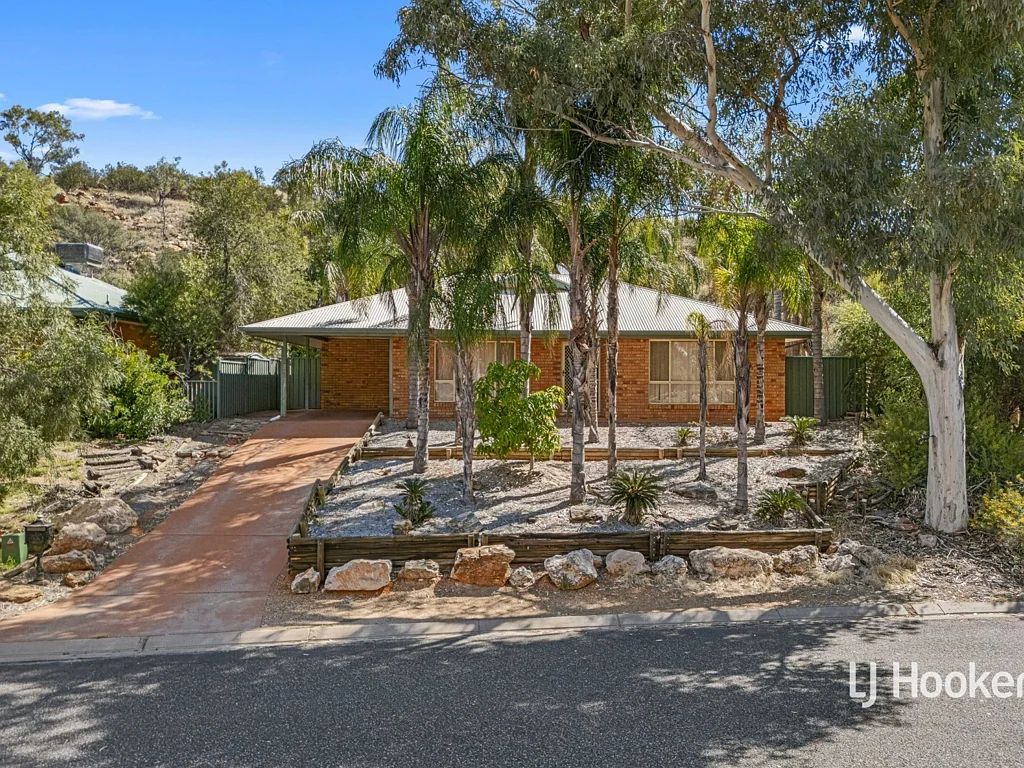 11 Terry Court, Araluen, NT 870